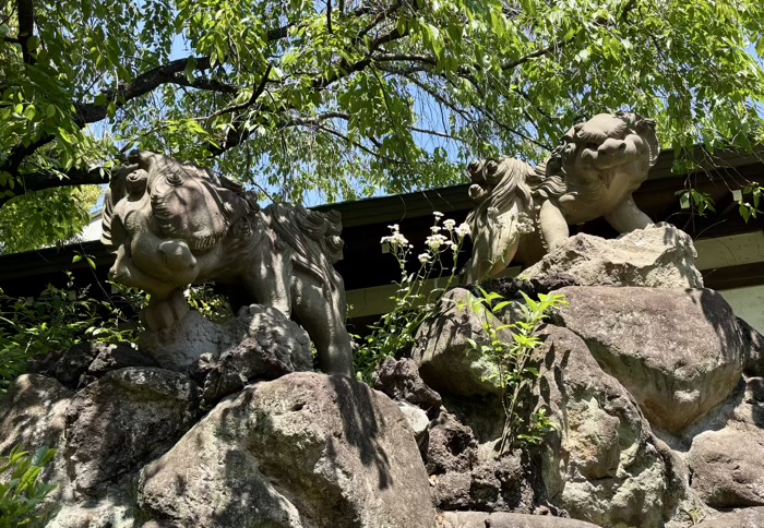 等々力　玉川神社　石獅子