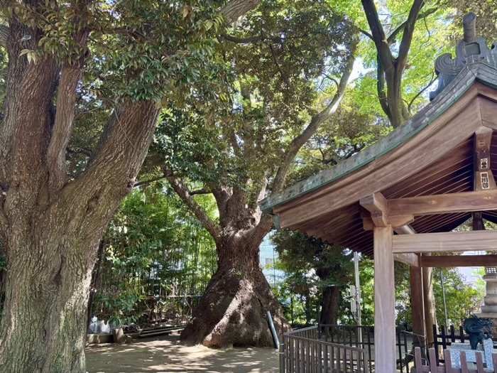 等々力　玉川神社　とっくりグス