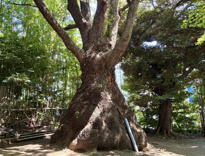 等々力　玉川神社　とっくりグス