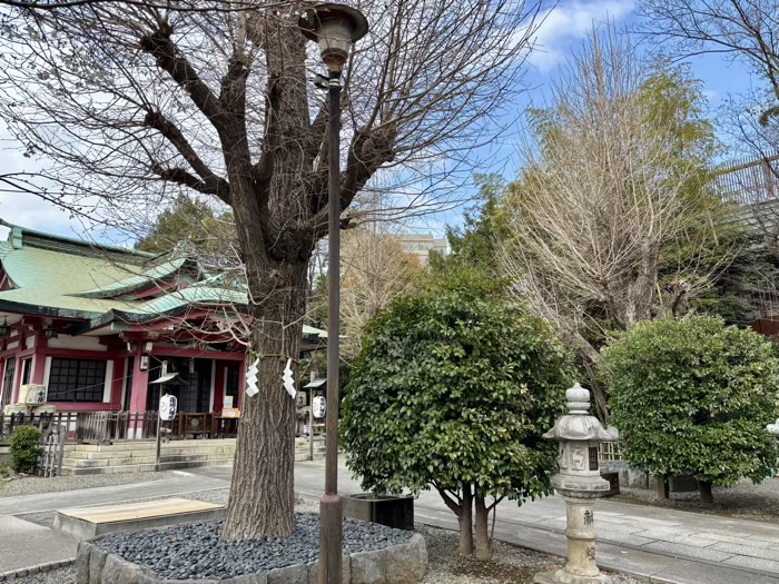市ヶ谷　市谷亀岡八幡宮