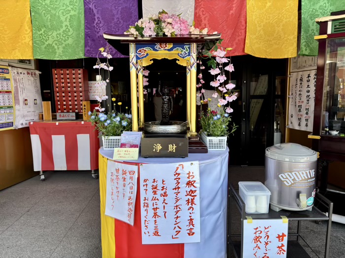 桜木町　野毛山不動尊横浜成田山　花まつり