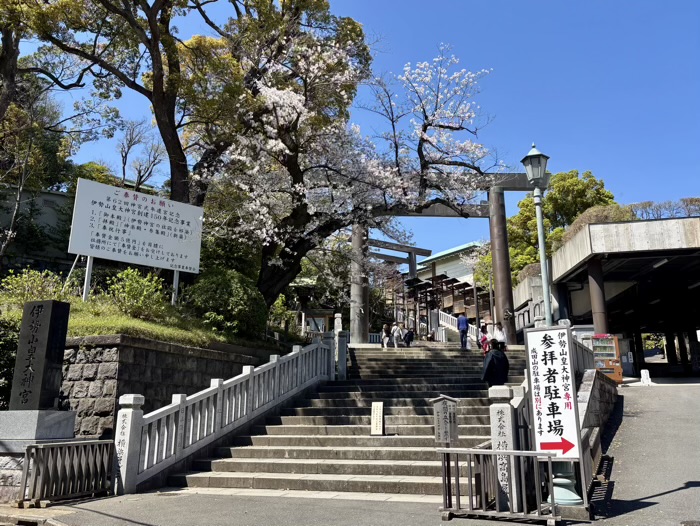 桜木町 伊勢山皇大神宮 桜
