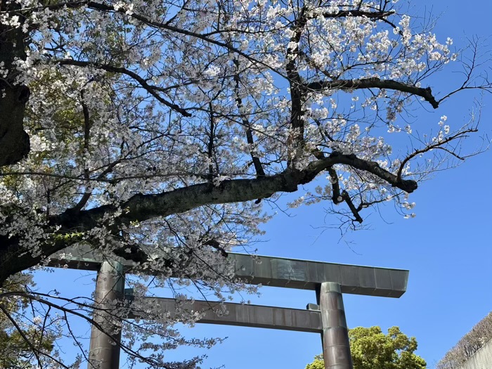 桜木町 伊勢山皇大神宮 桜