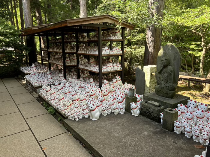 世田谷　大谿山 豪徳寺　招福殿
