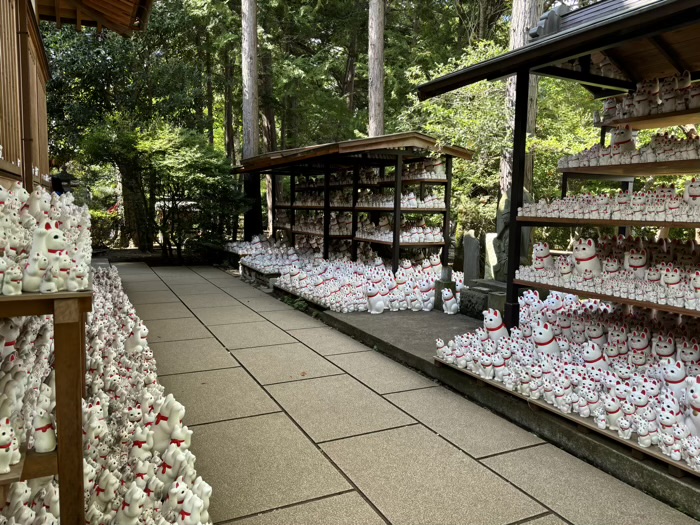 世田谷　大谿山 豪徳寺　招福殿
