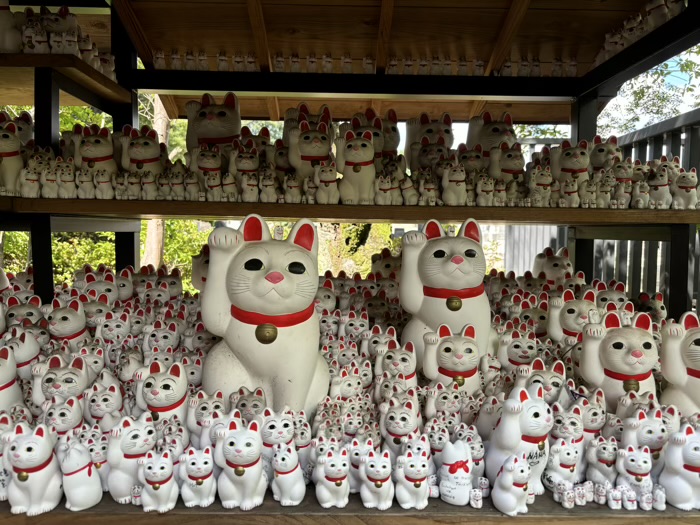世田谷　大谿山 豪徳寺　招福殿
