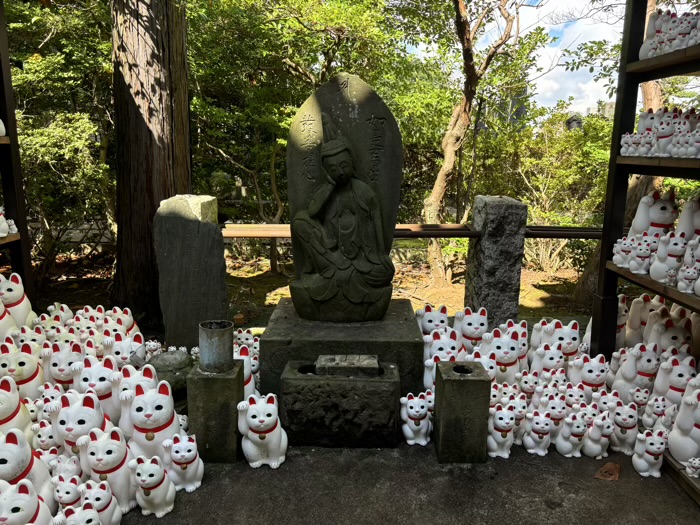世田谷　大谿山 豪徳寺　招福殿