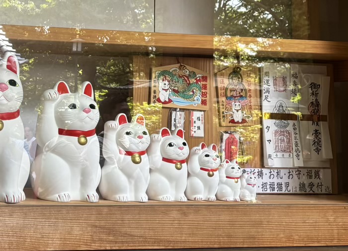 世田谷　大谿山 豪徳寺　招福猫児
