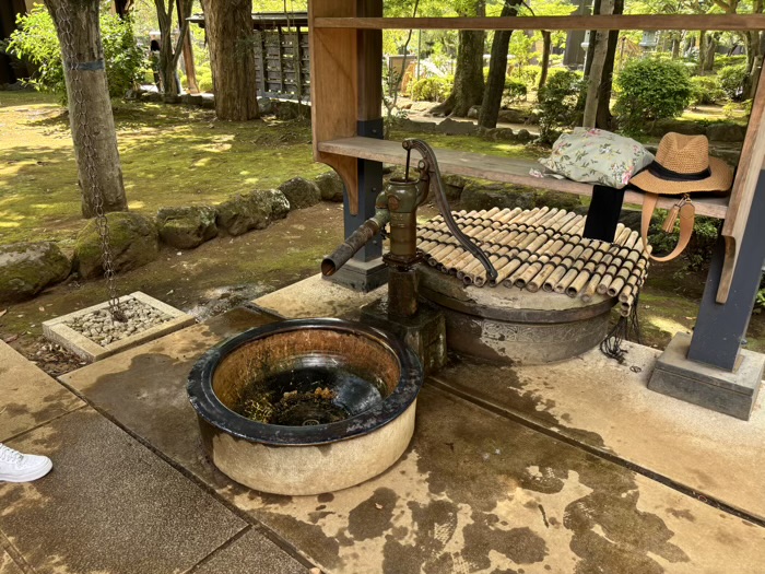 世田谷　大谿山 豪徳寺　招福殿