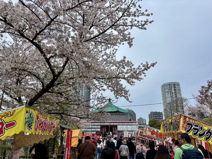 上野　不忍池辯天堂　花まつり