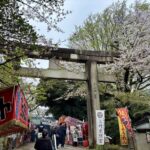 上野東照宮　桜