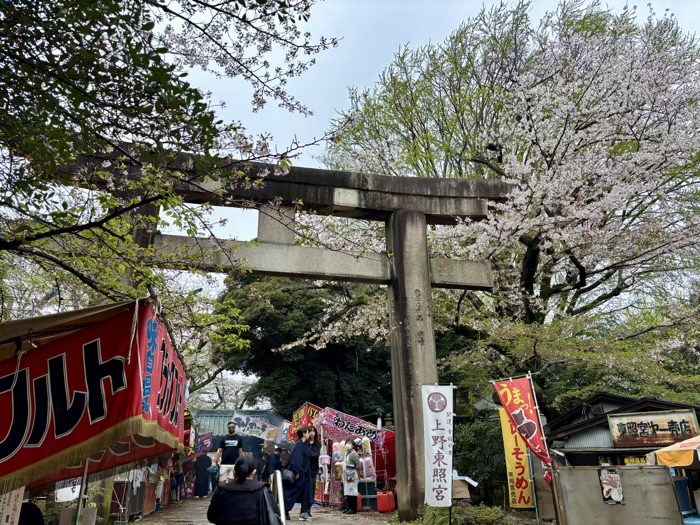 上野東照宮 桜