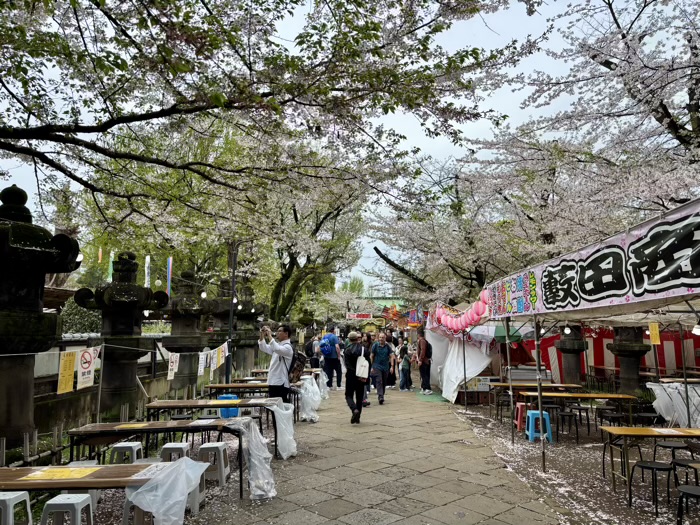 上野東照宮 桜