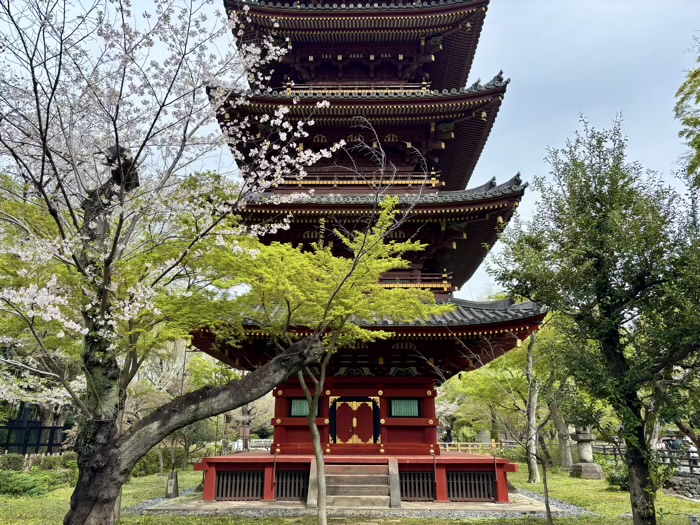 東京　上野東照宮　五重塔