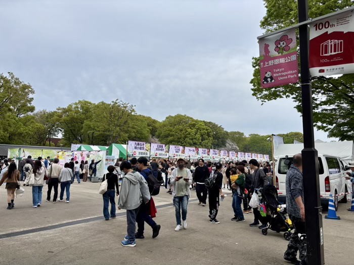 上野公園　桜まつり