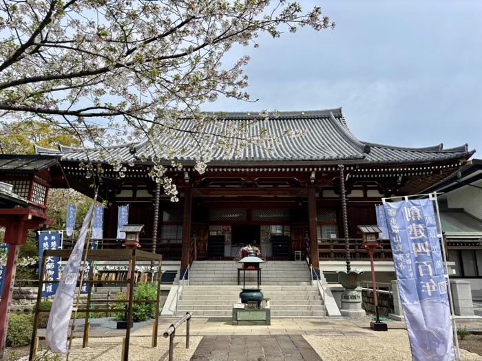 上野　東叡山寛永寺開山堂（両大師）　花まつり