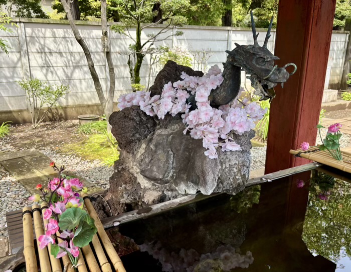 上野　東叡山寛永寺開山堂（両大師）　花まつり