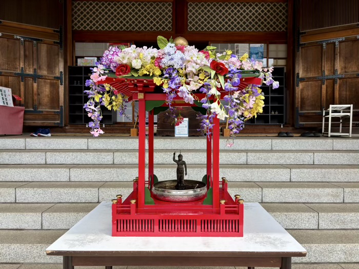 上野　東叡山寛永寺開山堂（両大師）　花まつり