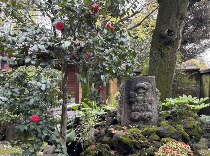 上野　東叡山寛永寺 護國院