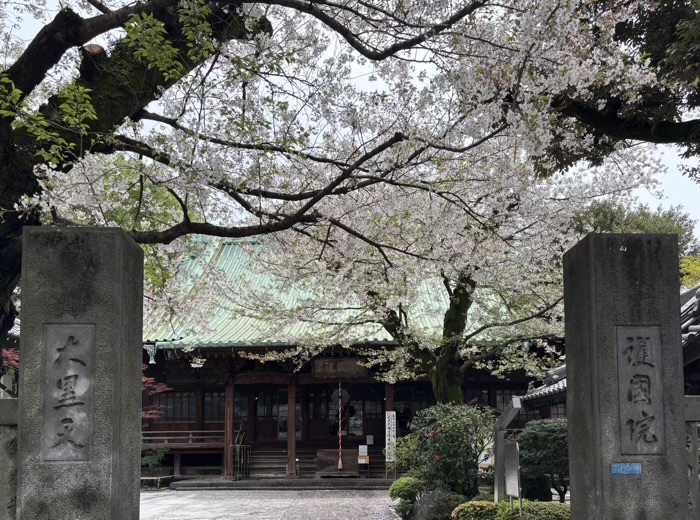 上野　東叡山寛永寺 護國院