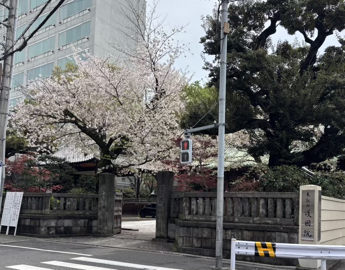 上野　東叡山寛永寺 護國院