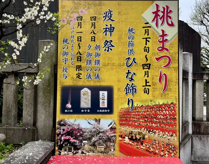 南千住 素盞雄神社 桃まつり