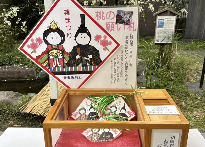 南千住 素盞雄神社 桃まつり 桃の願い札