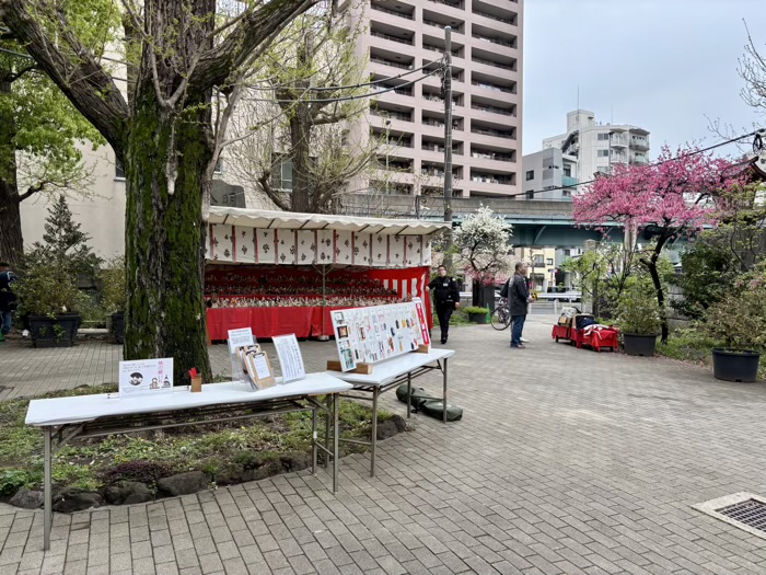 南千住 素盞雄神社 桃まつり 雛人形