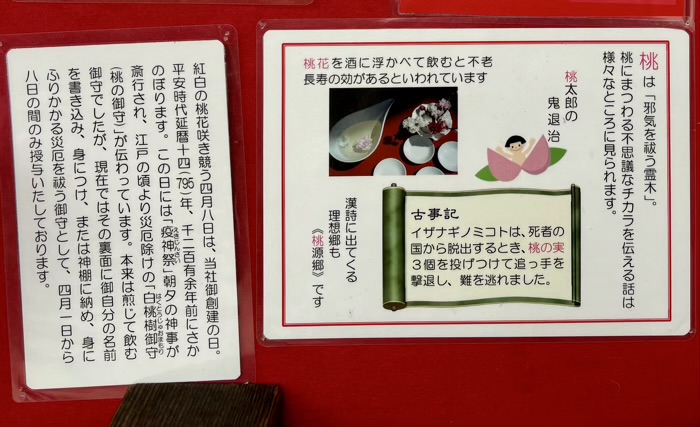 南千住 素盞雄神社 桃まつり