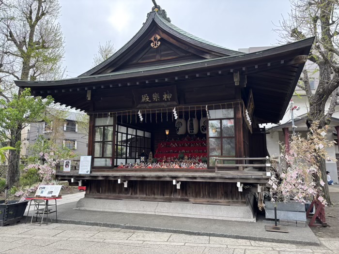 南千住 素盞雄神社 桃まつり 雛人形