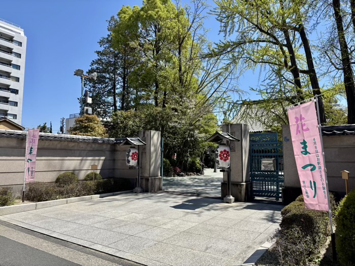 江東区　心行寺　深川花まつり