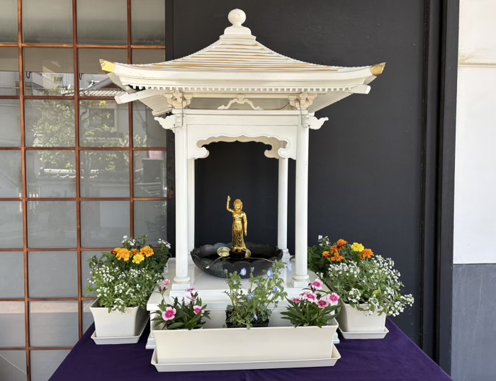 江東区　深川花まつり　龍光院