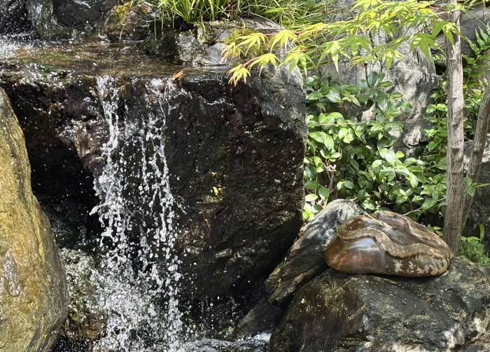 品川区 蛇窪神社(天祖神社)