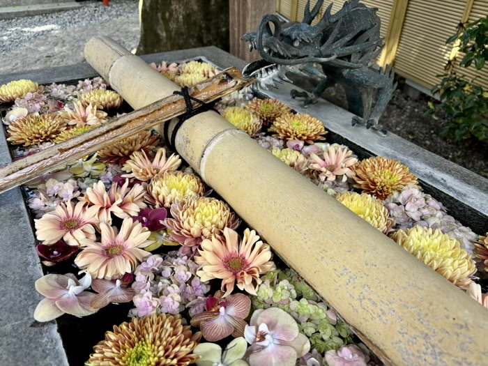 品川区 蛇窪神社(天祖神社) 花手水