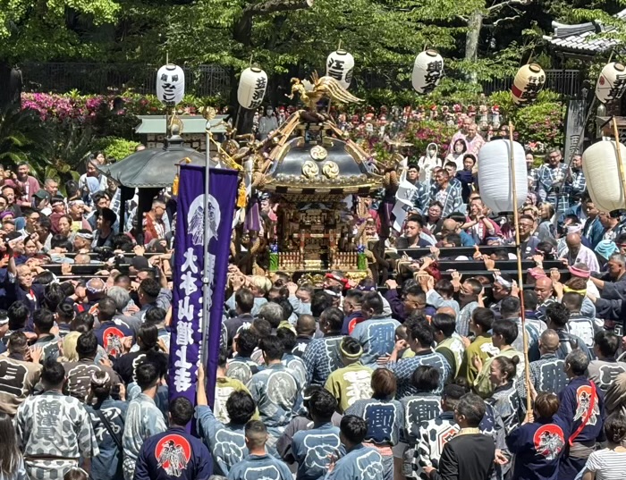港区　増上寺　観世音＆熊野神社祈願会　神輿渡御