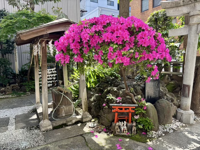 浜松町　讃岐小白稲荷神社