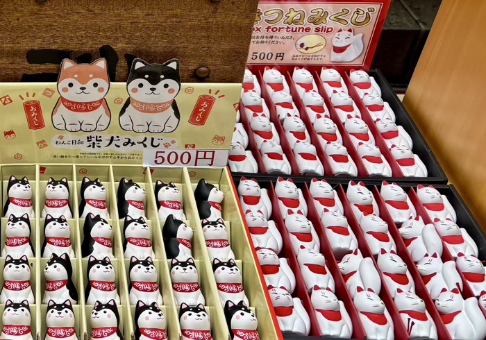 新宿　須賀神社　おみくじ