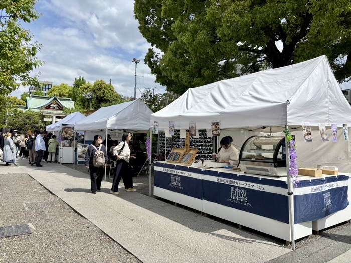 江東区　亀戸天神社　藤まつり＆学業講祭