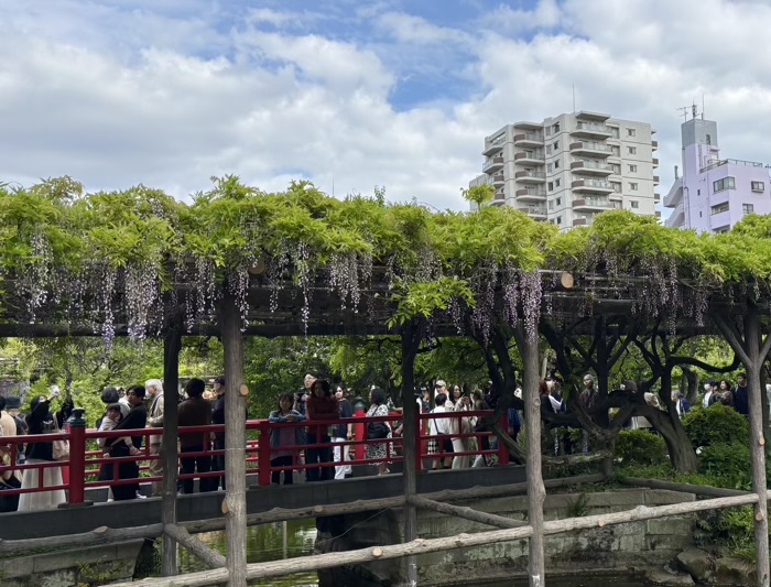 江東区　亀戸天神社