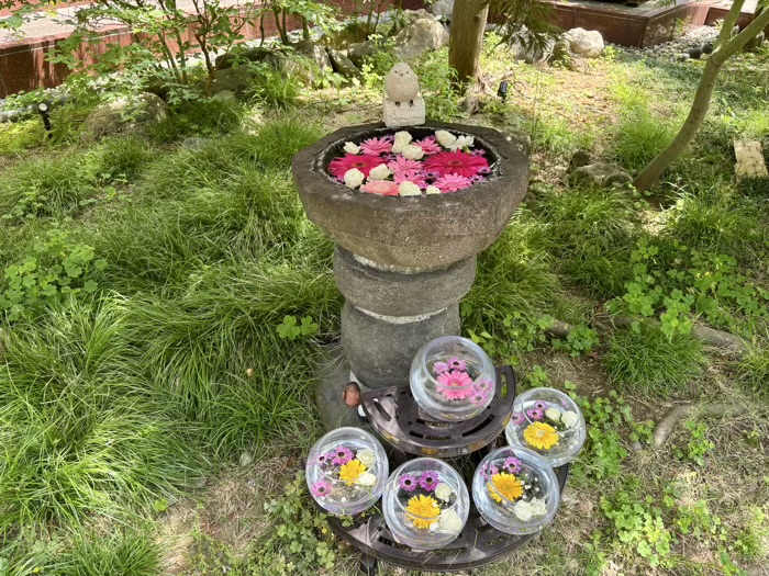 西早稲田　萬年山 法輪寺　花手水