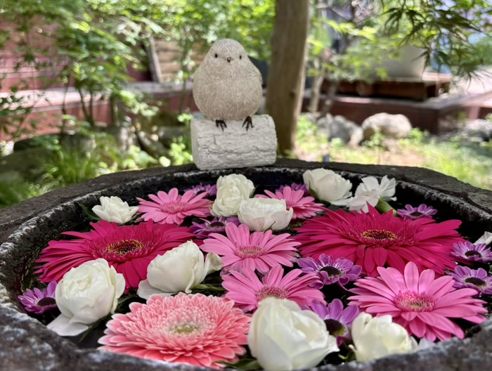 西早稲田　萬年山 法輪寺　花手水