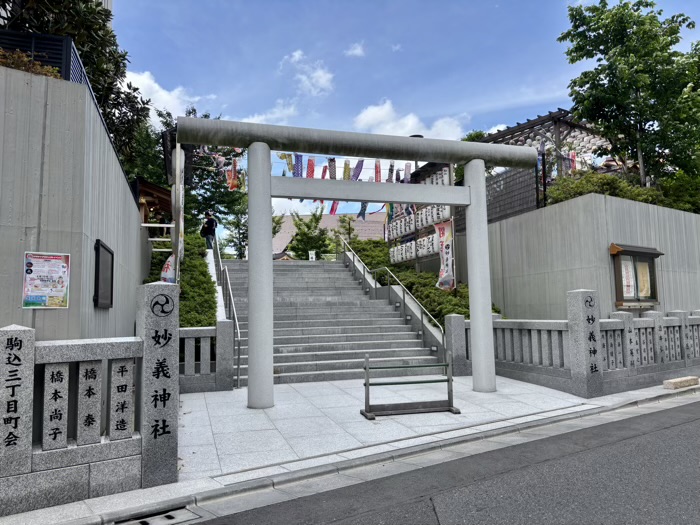 豊島区　妙義神社　辰の日・巳の日詣