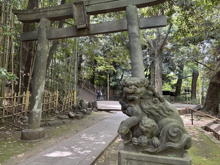 渋谷区 渋谷氷川神社 北参道