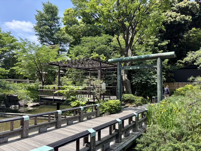 渋谷　東郷神社　神池