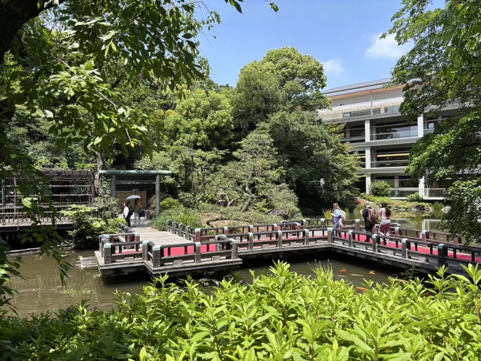 渋谷　東郷神社　神池