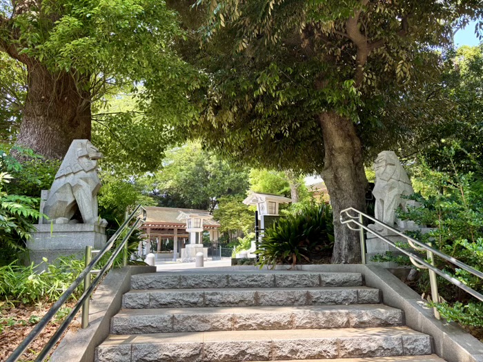 渋谷　東郷神社　神池