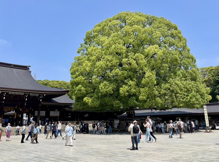 渋谷　明治神宮