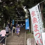 渋谷 代々木八幡宮 金魚まつり