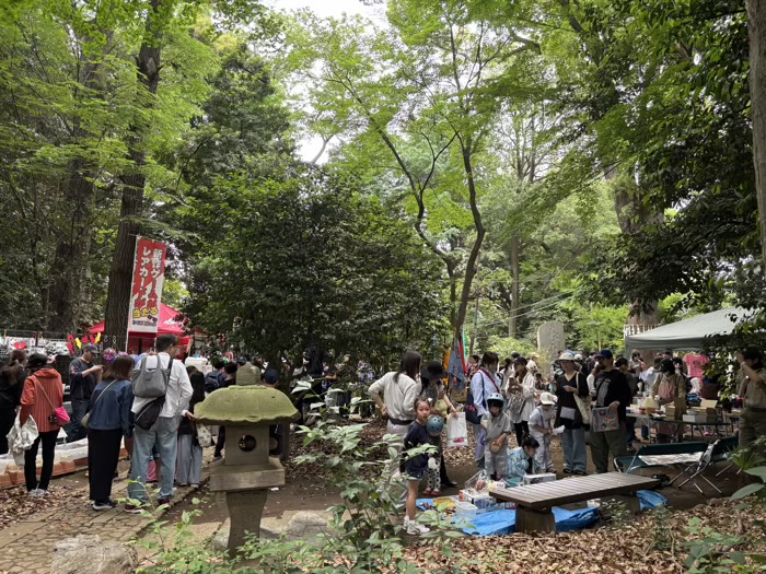 渋谷　代々木八幡宮　金魚まつり
