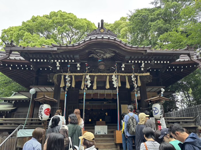渋谷　代々木八幡宮　金魚まつり
